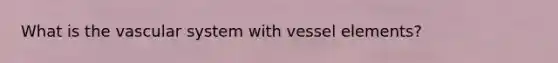 What is the vascular system with vessel elements?