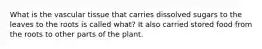 What is the vascular tissue that carries dissolved sugars to the leaves to the roots is called what? It also carried stored food from the roots to other parts of the plant.