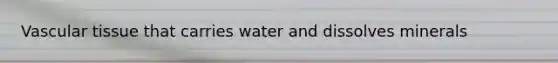 Vascular tissue that carries water and dissolves minerals