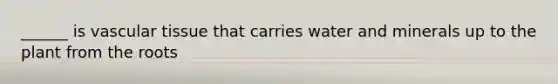 ______ is vascular tissue that carries water and minerals up to the plant from the roots