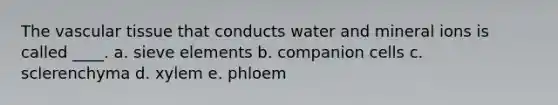 The <a href='https://www.questionai.com/knowledge/k1HVFq17mo-vascular-tissue' class='anchor-knowledge'>vascular tissue</a> that conducts water and mineral ions is called ____. a. sieve elements b. companion cells c. sclerenchyma d. xylem e. phloem