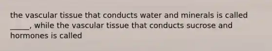 the vascular tissue that conducts water and minerals is called _____, while the vascular tissue that conducts sucrose and hormones is called