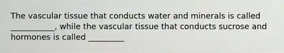 The vascular tissue that conducts water and minerals is called ___________, while the vascular tissue that conducts sucrose and hormones is called _________