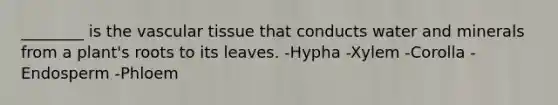 ________ is the vascular tissue that conducts water and minerals from a plant's roots to its leaves. -Hypha -Xylem -Corolla -Endosperm -Phloem