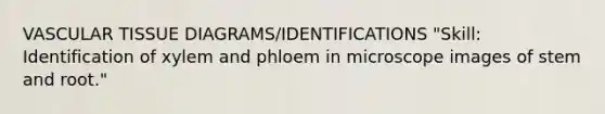 <a href='https://www.questionai.com/knowledge/k1HVFq17mo-vascular-tissue' class='anchor-knowledge'>vascular tissue</a> DIAGRAMS/IDENTIFICATIONS "Skill: Identification of xylem and phloem in microscope images of stem and root."