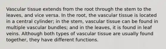 Vascular tissue extends from the root through the stem to the leaves, and vice versa. In the root, the vascular tissue is located in a central cylinder; in the stem, vascular tissue can be found in multiple vascular bundles; and in the leaves, it is found in leaf veins. Although both types of vascular tissue are usually found together, they have different functions.