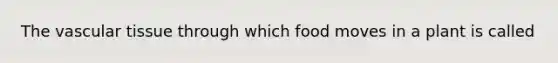 The vascular tissue through which food moves in a plant is called