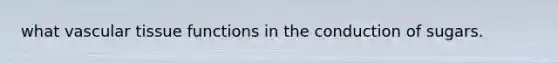 what vascular tissue functions in the conduction of sugars.