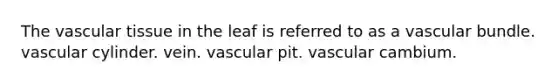 The vascular tissue in the leaf is referred to as a vascular bundle. vascular cylinder. vein. vascular pit. vascular cambium.