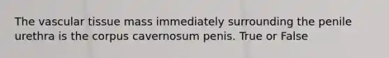 The <a href='https://www.questionai.com/knowledge/k1HVFq17mo-vascular-tissue' class='anchor-knowledge'>vascular tissue</a> mass immediately surrounding the penile urethra is the corpus cavernosum penis. True or False