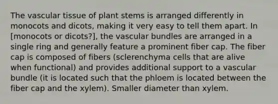 The vascular tissue of plant stems is arranged differently in monocots and dicots, making it very easy to tell them apart. In [monocots or dicots?], the vascular bundles are arranged in a single ring and generally feature a prominent fiber cap. The fiber cap is composed of fibers (sclerenchyma cells that are alive when functional) and provides additional support to a vascular bundle (it is located such that the phloem is located between the fiber cap and the xylem). Smaller diameter than xylem.