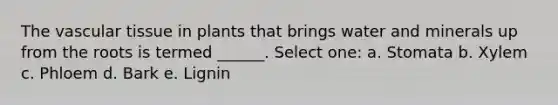 The vascular tissue in plants that brings water and minerals up from the roots is termed ______. Select one: a. Stomata b. Xylem c. Phloem d. Bark e. Lignin