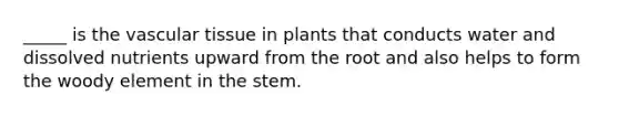 _____ is the vascular tissue in plants that conducts water and dissolved nutrients upward from the root and also helps to form the woody element in the stem.