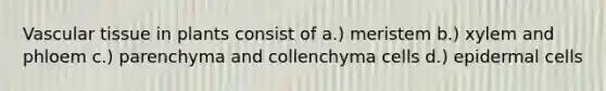 <a href='https://www.questionai.com/knowledge/k1HVFq17mo-vascular-tissue' class='anchor-knowledge'>vascular tissue</a> in plants consist of a.) meristem b.) xylem and phloem c.) parenchyma and collenchyma cells d.) epidermal cells