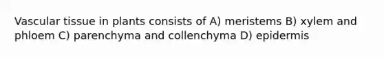 <a href='https://www.questionai.com/knowledge/k1HVFq17mo-vascular-tissue' class='anchor-knowledge'>vascular tissue</a> in plants consists of A) meristems B) xylem and phloem C) parenchyma and collenchyma D) epidermis