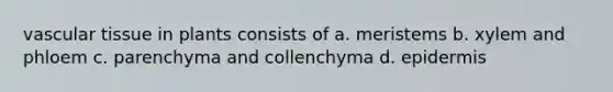 vascular tissue in plants consists of a. meristems b. xylem and phloem c. parenchyma and collenchyma d. epidermis