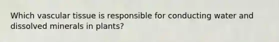 Which <a href='https://www.questionai.com/knowledge/k1HVFq17mo-vascular-tissue' class='anchor-knowledge'>vascular tissue</a> is responsible for conducting water and dissolved minerals in plants?