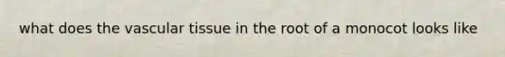 what does the vascular tissue in the root of a monocot looks like
