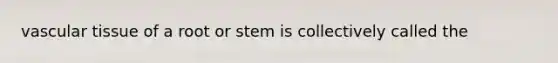 <a href='https://www.questionai.com/knowledge/k1HVFq17mo-vascular-tissue' class='anchor-knowledge'>vascular tissue</a> of a root or stem is collectively called the