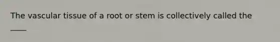 The <a href='https://www.questionai.com/knowledge/k1HVFq17mo-vascular-tissue' class='anchor-knowledge'>vascular tissue</a> of a root or stem is collectively called the ____