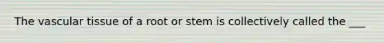 The vascular tissue of a root or stem is collectively called the ___