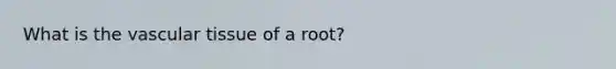 What is the <a href='https://www.questionai.com/knowledge/k1HVFq17mo-vascular-tissue' class='anchor-knowledge'>vascular tissue</a> of a root?