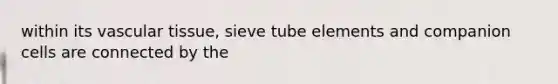 within its vascular tissue, sieve tube elements and companion cells are connected by the