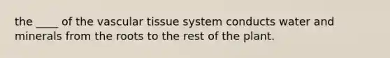 the ____ of the vascular tissue system conducts water and minerals from the roots to the rest of the plant.