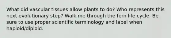 What did <a href='https://www.questionai.com/knowledge/k1HVFq17mo-vascular-tissue' class='anchor-knowledge'>vascular tissue</a>s allow plants to do? Who represents this next evolutionary step? Walk me through the fern life cycle. Be sure to use proper scientific terminology and label when haploid/diploid.