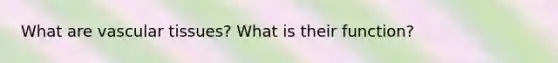 What are <a href='https://www.questionai.com/knowledge/k1HVFq17mo-vascular-tissue' class='anchor-knowledge'>vascular tissue</a>s? What is their function?