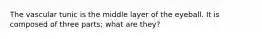 The vascular tunic is the middle layer of the eyeball. It is composed of three parts; what are they?