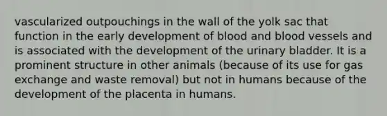 vascularized outpouchings in the wall of the yolk sac that function in the early development of blood and blood vessels and is associated with the development of the urinary bladder. It is a prominent structure in other animals (because of its use for gas exchange and waste removal) but not in humans because of the development of the placenta in humans.