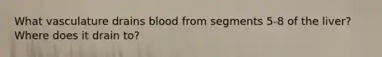 What vasculature drains blood from segments 5-8 of the liver? Where does it drain to?