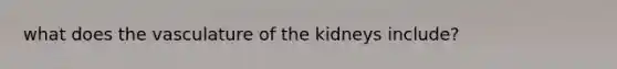 what does the vasculature of the kidneys include?