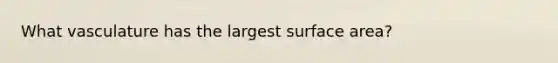 What vasculature has the largest surface area?