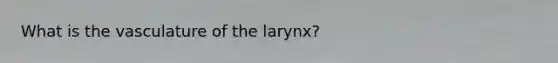 What is the vasculature of the larynx?