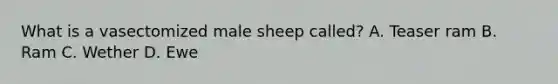 What is a vasectomized male sheep called? A. Teaser ram B. Ram C. Wether D. Ewe