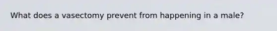 What does a vasectomy prevent from happening in a male?