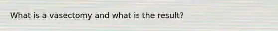 What is a vasectomy and what is the result?