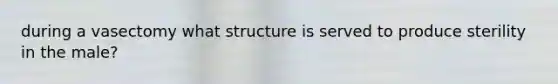 during a vasectomy what structure is served to produce sterility in the male?