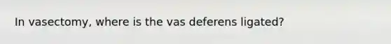 In vasectomy, where is the vas deferens ligated?