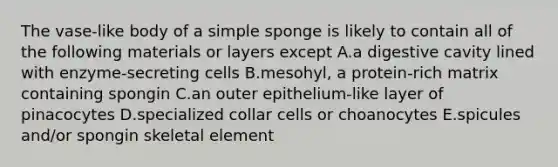 The vase-like body of a simple sponge is likely to contain all of the following materials or layers except A.a digestive cavity lined with enzyme-secreting cells B.mesohyl, a protein-rich matrix containing spongin C.an outer epithelium-like layer of pinacocytes D.specialized collar cells or choanocytes E.spicules and/or spongin skeletal element