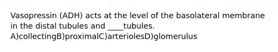 Vasopressin (ADH) acts at the level of the basolateral membrane in the distal tubules and ____tubules. A)collectingB)proximalC)arteriolesD)glomerulus