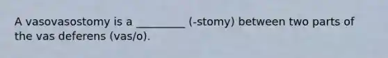 A vasovasostomy is a _________ (-stomy) between two parts of the vas deferens (vas/o).