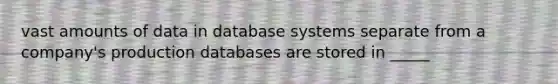 vast amounts of data in database systems separate from a company's production databases are stored in _____