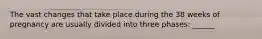 The vast changes that take place during the 38 weeks of pregnancy are usually divided into three phases: ______