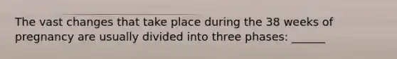 The vast changes that take place during the 38 weeks of pregnancy are usually divided into three phases: ______