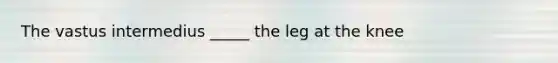 The vastus intermedius _____ the leg at the knee