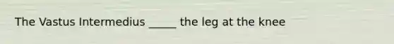 The Vastus Intermedius _____ the leg at the knee