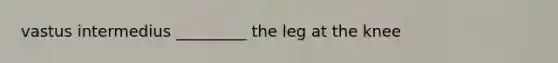 vastus intermedius _________ the leg at the knee